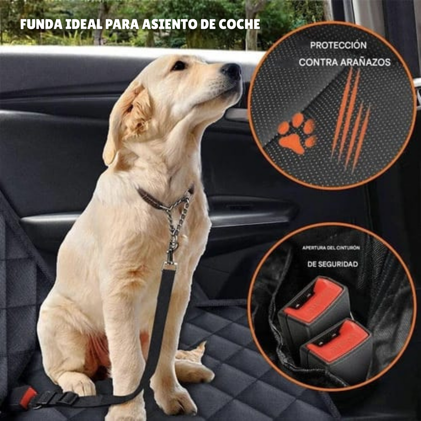 CoverPaw