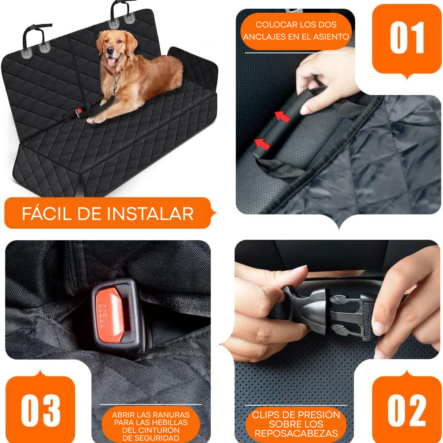 CoverPaw